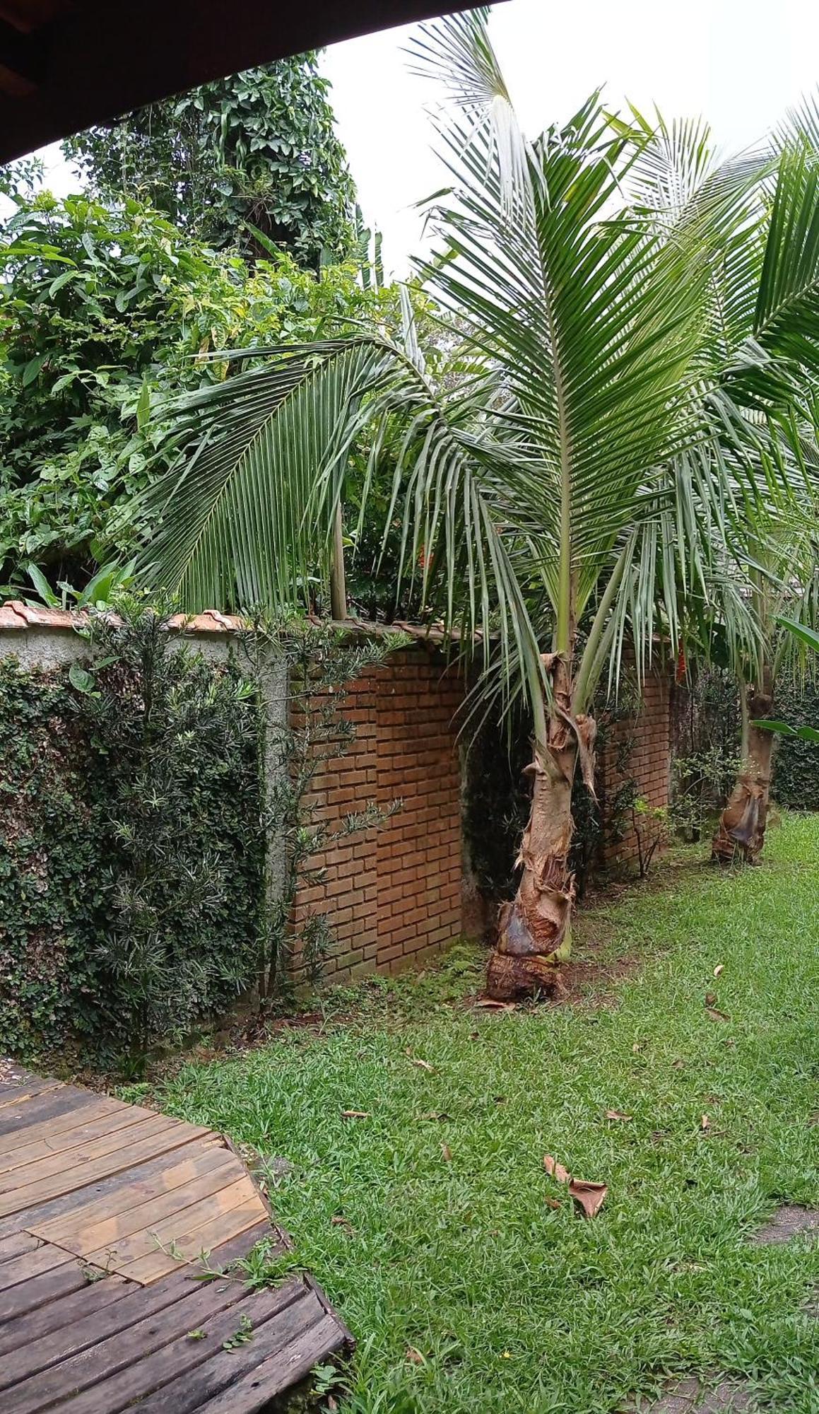 Casa Dos Coqueiros Praia De Camburi, Condominio Camburi  Eksteriør billede